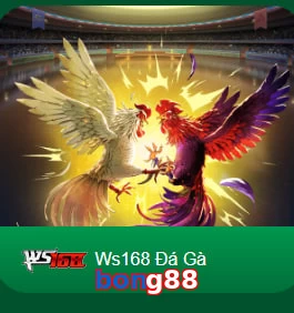 bong88
